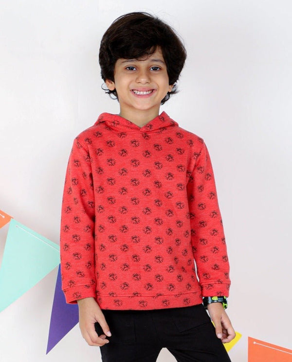 Mighty Lion Hooded Sweatshirt - KS-RLPH-1-2