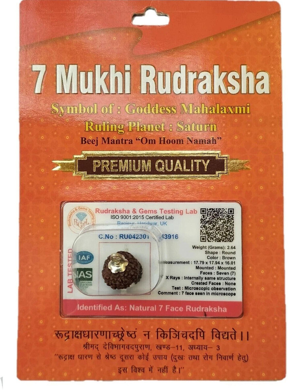 Premium 7 Mukhi Rudraksha Bead for Wealth & Stability
