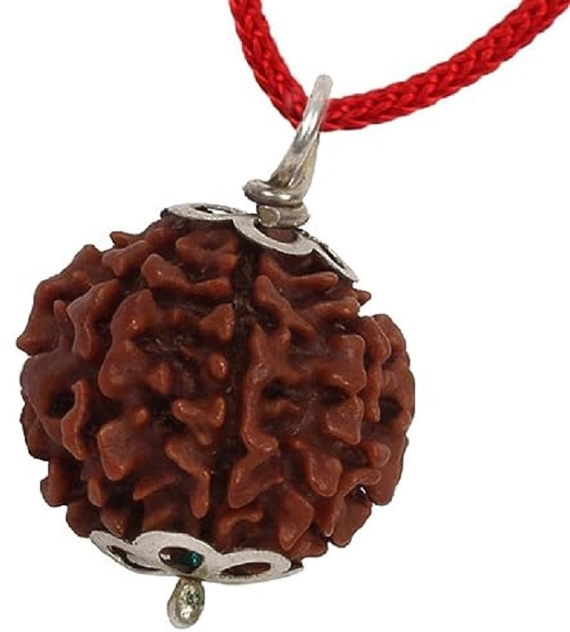 7 Mukhi Rudraksha Bead – Mahalakshmi Blessing Sacred Natural Rudraksha