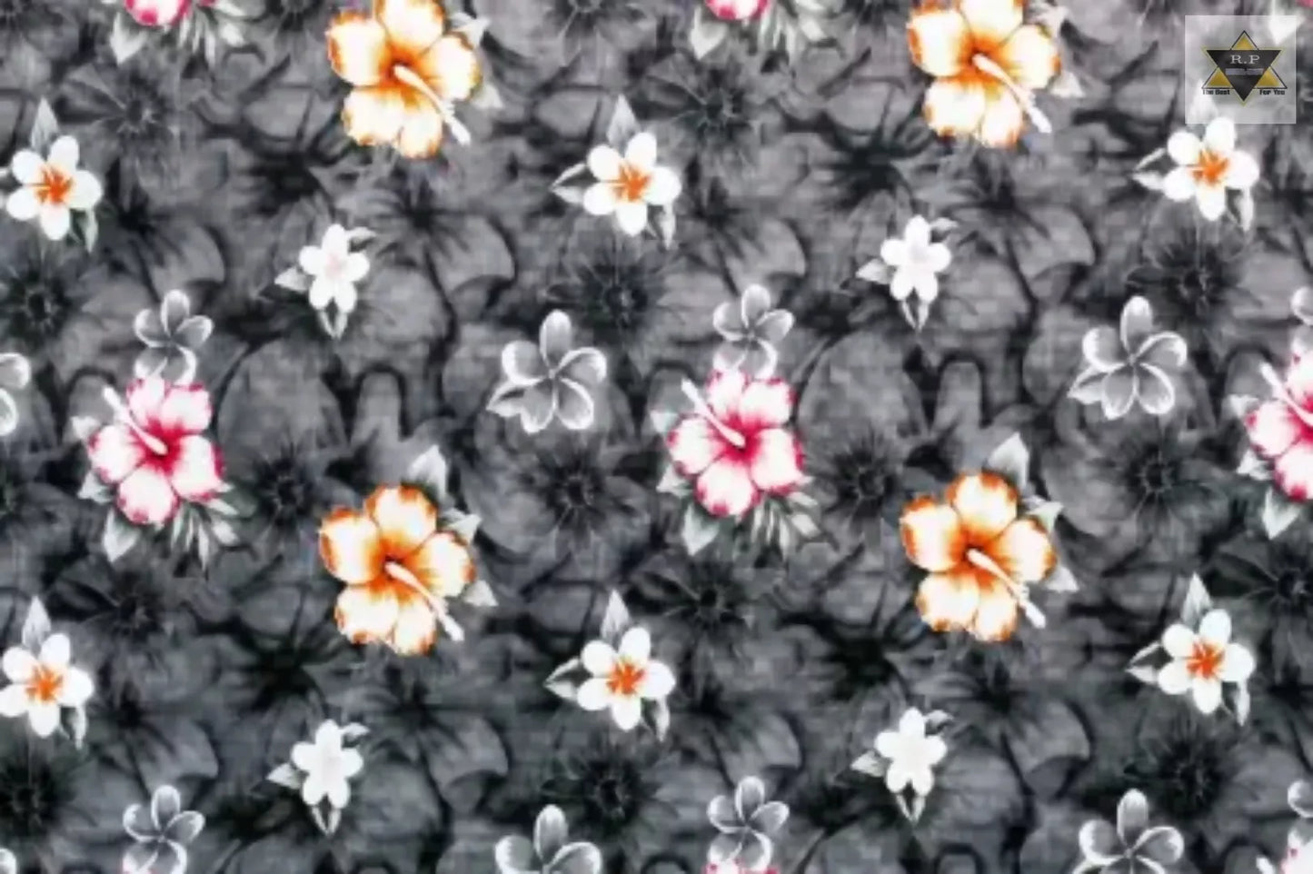 5-1-1-royal-nest-original-imagq337s92xy5va