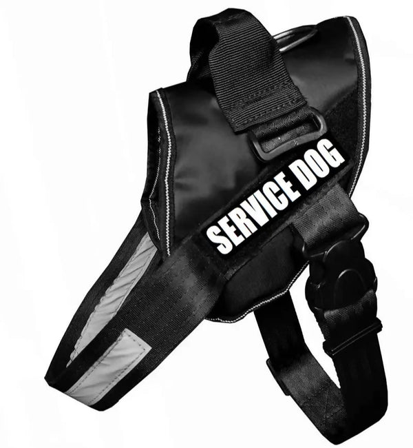 1726568389509__1726568389035__SERVICE%20DOG%20BLACK%20K9%20HAR