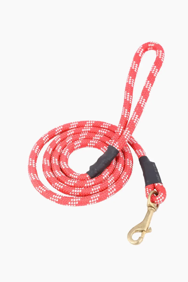 1712035526969__1712035526624__145A5801