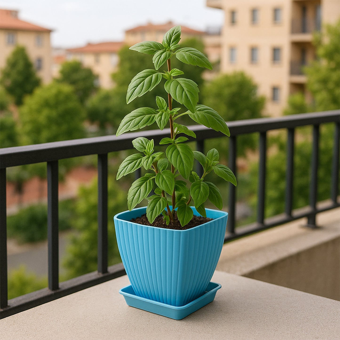 Trendy Square Plastic Flower Pots (Set Of 5)