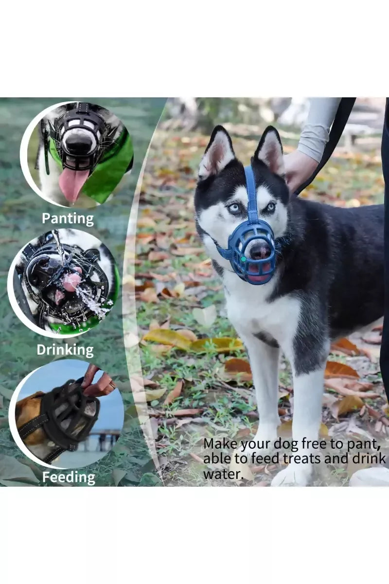 1727435187578__1727435187100__71OtTu3EunL._SL1200_