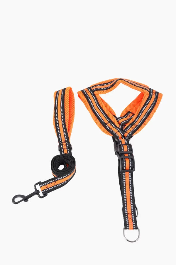 1712036192846__1712036192492__145A6238