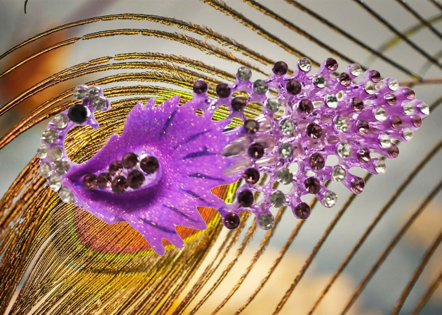 6-Piece Hair Clip Set for Women and Girls (Multi-color) collectivezone