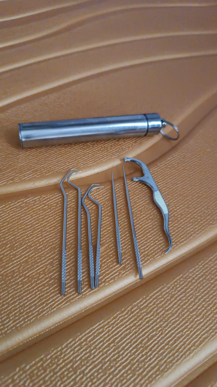 7 In 1 Stainless Steel Toothpick Flossier Set (1 Set  With Case)