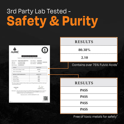 Auric Lab-Certified High-Altitude Shilajit Resin 30g | 75% Fulvic Acid + Humic Acid | 80+ Trace Minerals with Real Brass Spoon Included Zenith Drinks