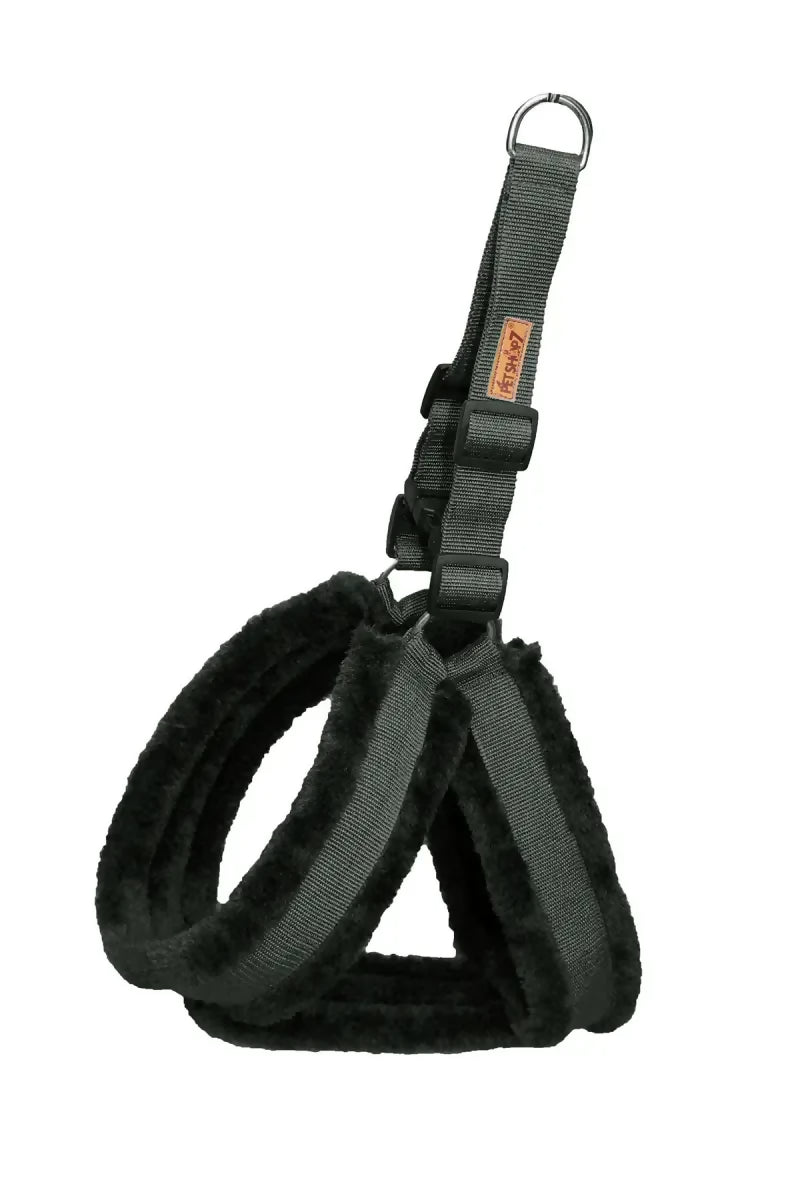 1726722669634__1726722669274__Harness