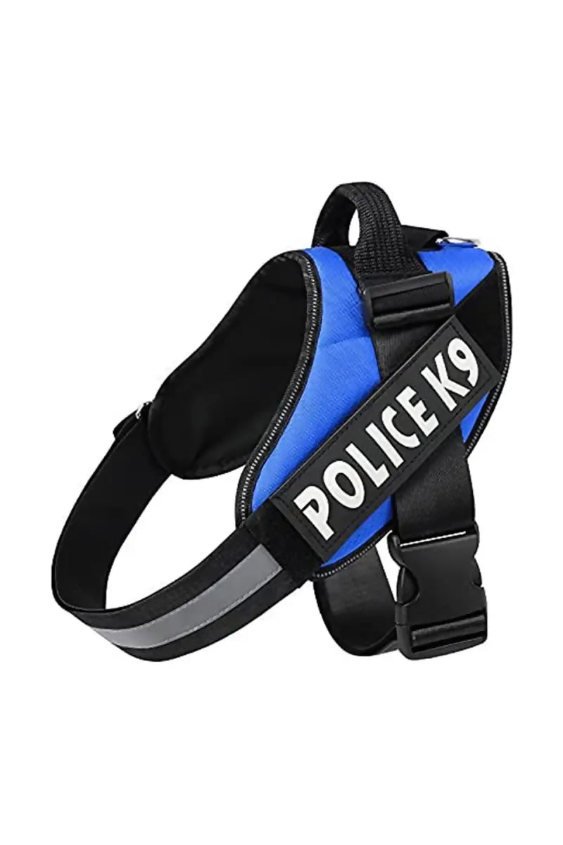 1726571304218__1726571303850__41J8ETtN2qS