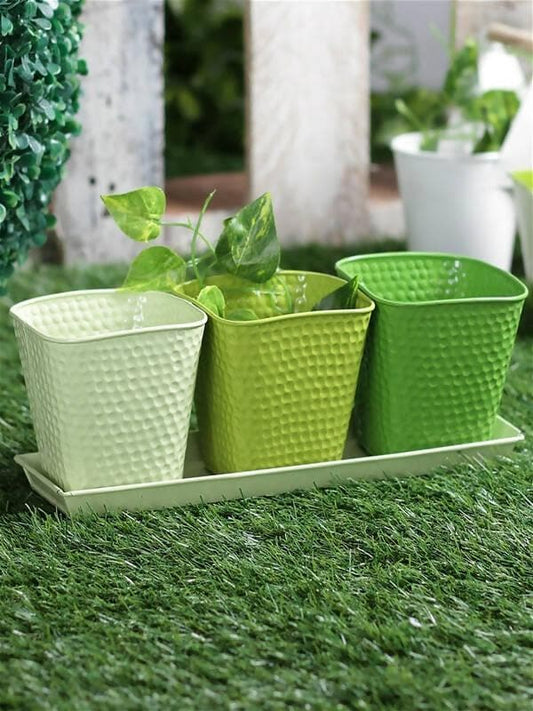 Set Of Three Herb Pots Green - HalfPe