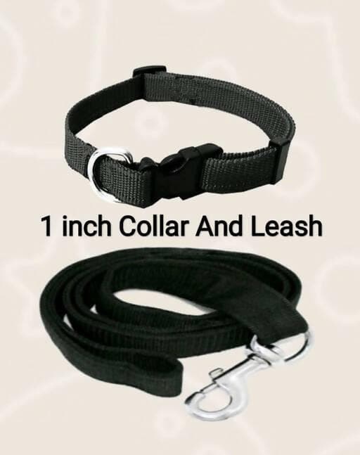 Mukundhas 1 Inch Dog Collar with Leash - HalfPe