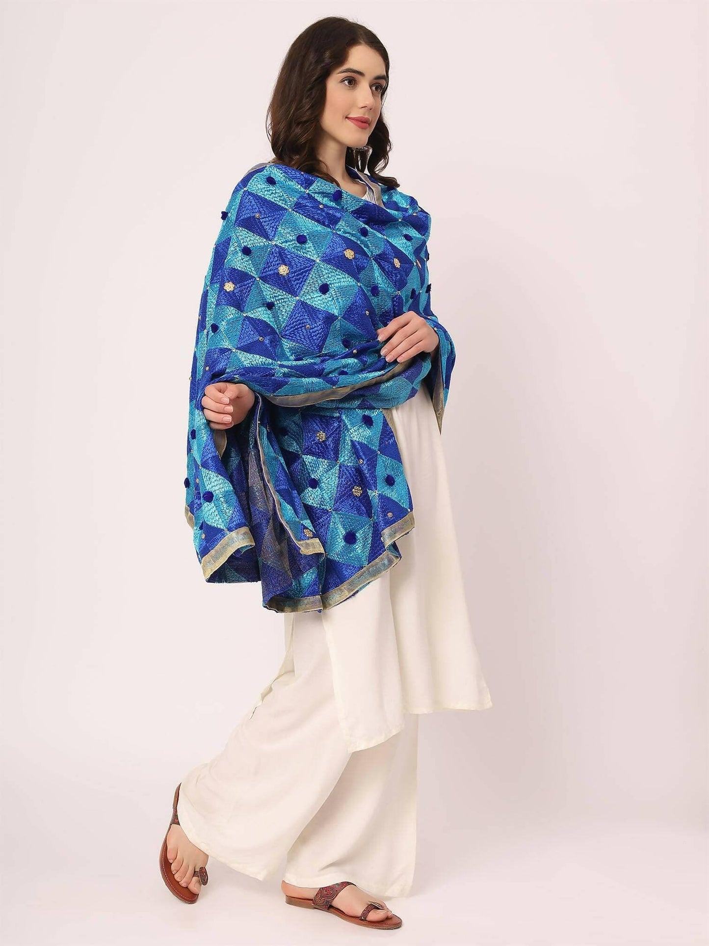 Royal Blue Embroidery Phulkari Dupatta - HalfPe