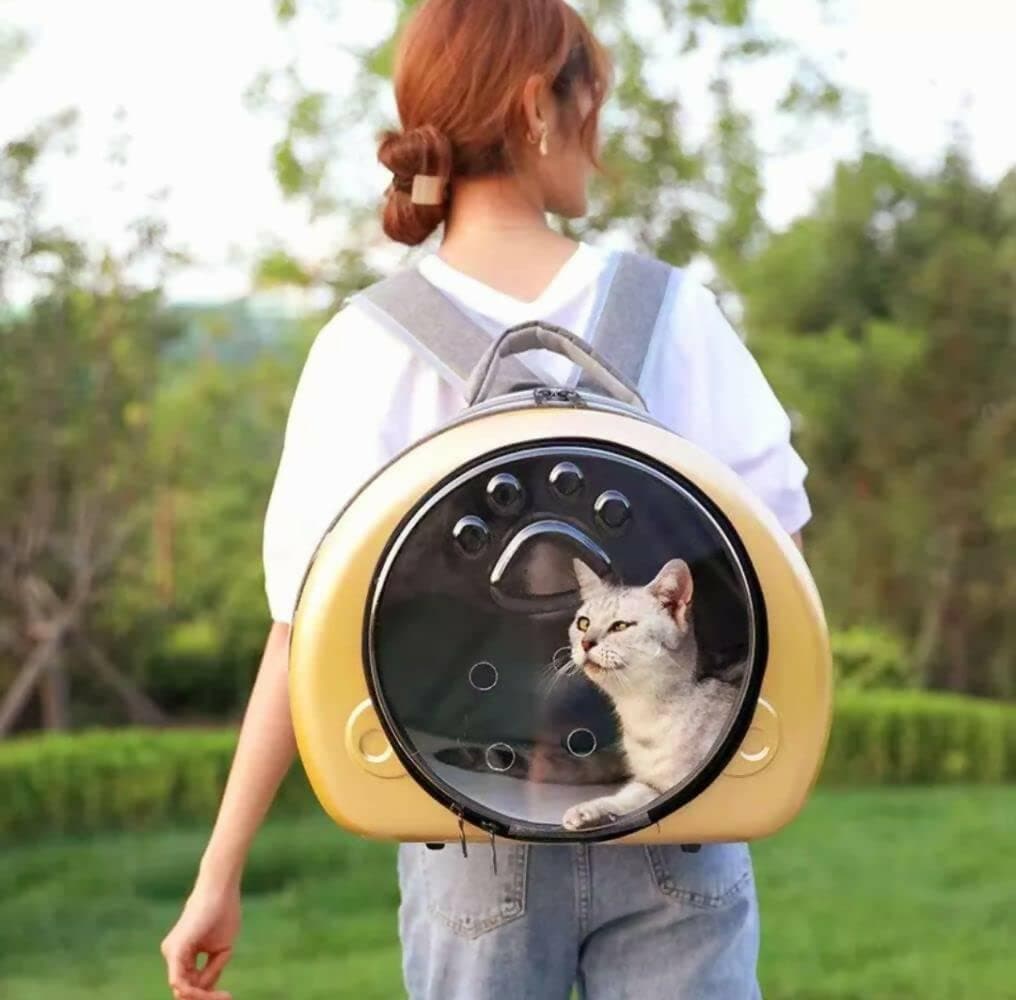 PetGains PGJB Transparent Fashionable Pet Carrier (Golden) - HalfPe