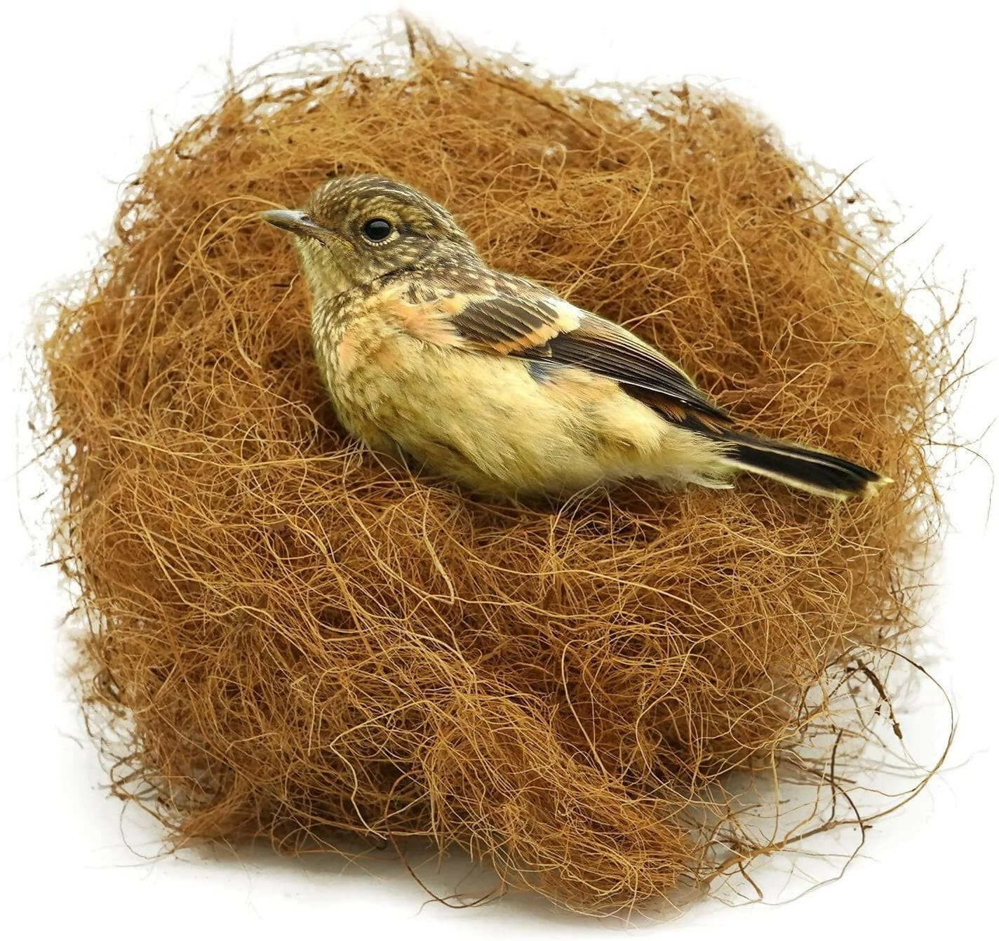 Mats Avenue Manually Extracted Natural Coir Fiber Nesting Material for Birds (100 GM) - HalfPe