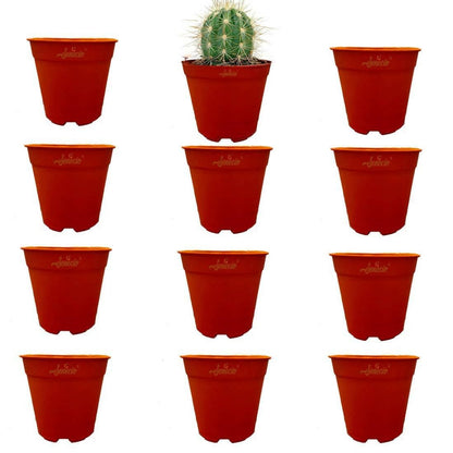 SENECIO Recyclable Flower Nursery Pots (Pack of 12) - HalfPe