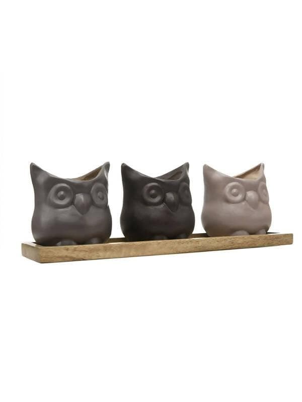 Set Of Three Resin Owl Pots With Wooden Base - HalfPe