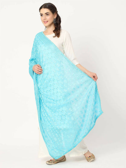 Blue Sequined Phulkari Embroidery - HalfPe