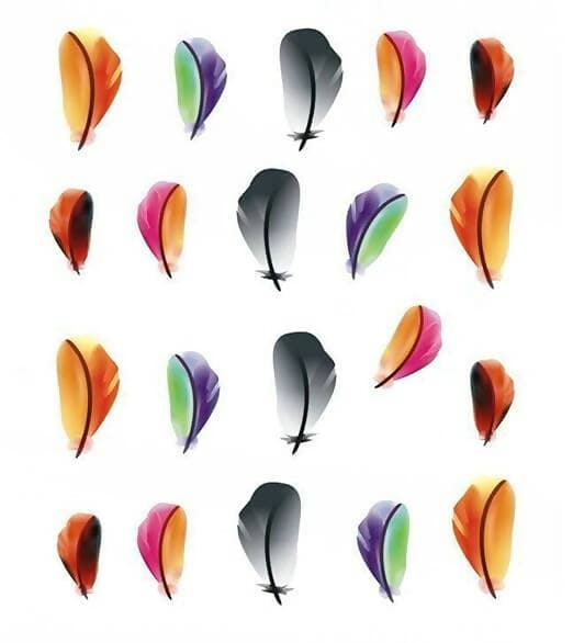 SENECIO Multicolor Feather Nail Art Manicure Decals Water Transfer Stickers (3D printed) - HalfPe