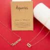 Pinapes Astrological Sign Pendant and Aquarius Necklace - HalfPe