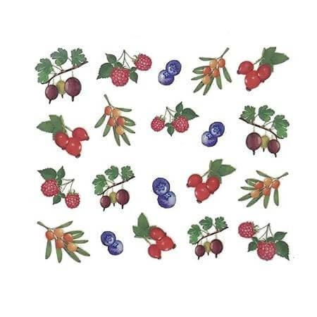 SENECIO Juicy Berries Fruits Nail Art Manicure Decals Water Transfer Stickers 1 Sheet Size :6.2 * 5.2cm - HalfPe