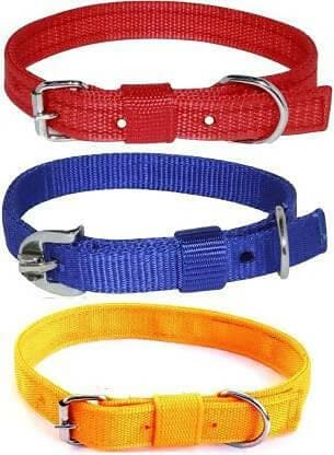 Essential Dog Collars - HalfPe