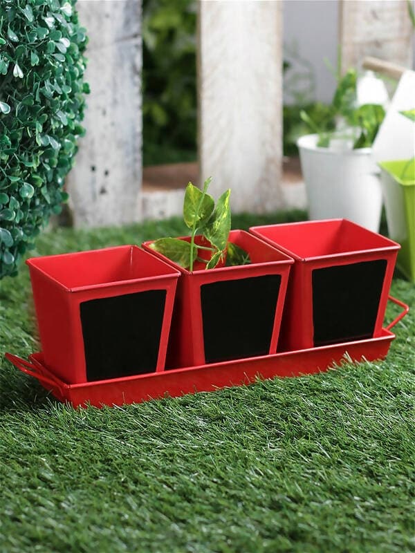 Chalk Board Painted Herb Pots Red (Set Of Three) - HalfPe