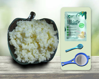 Hand-picked premium/large sized milk kefir grains (10g) with complementary large strainer, spoon & 1 starter culture powder sachet - HalfPe