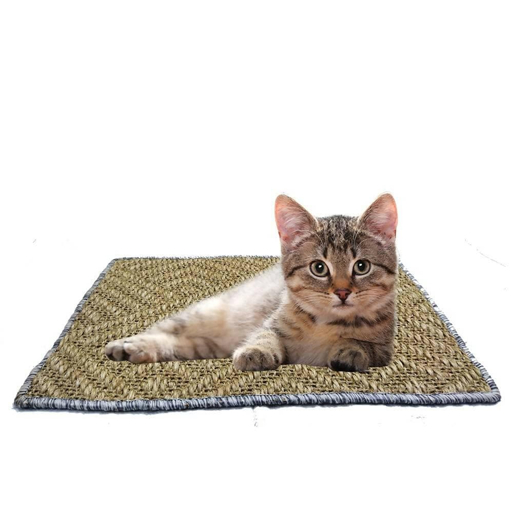 Mats Avenue Door Mats At Your Door Step Cat Scratch Pad (40 X 60 CM) - HalfPe