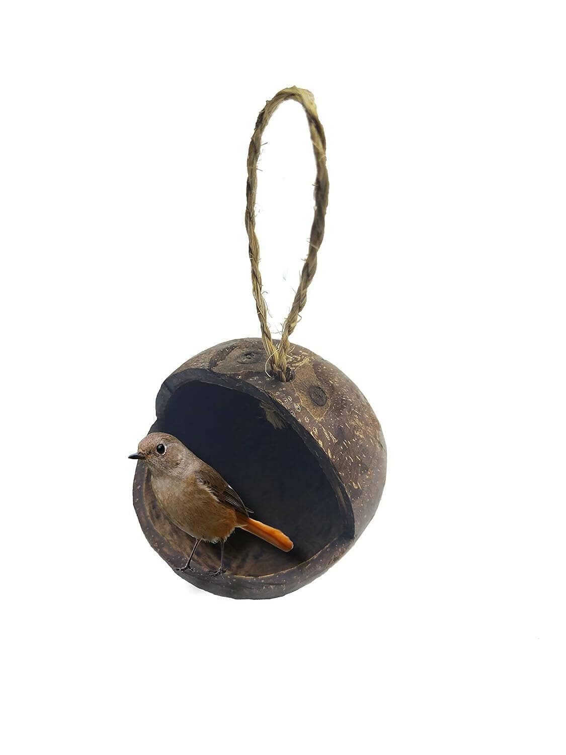 Mats Avenue Hand Crafted Open Bird Feeder Made of Coconut Shell - HalfPe