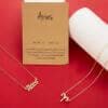 Pinapes Astrological Sign Pendant and Aries Necklace - HalfPe