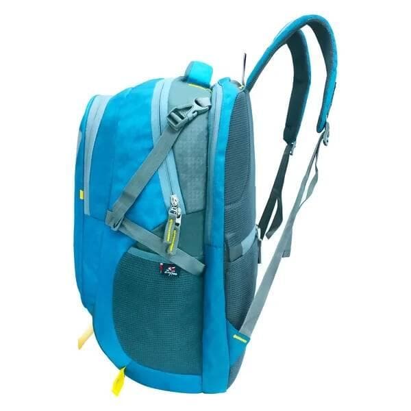 Large 40 L Laptop Backpack For School | College | Everyday Bag With Laptop Compartment (Sky Blue)  - HalfPe