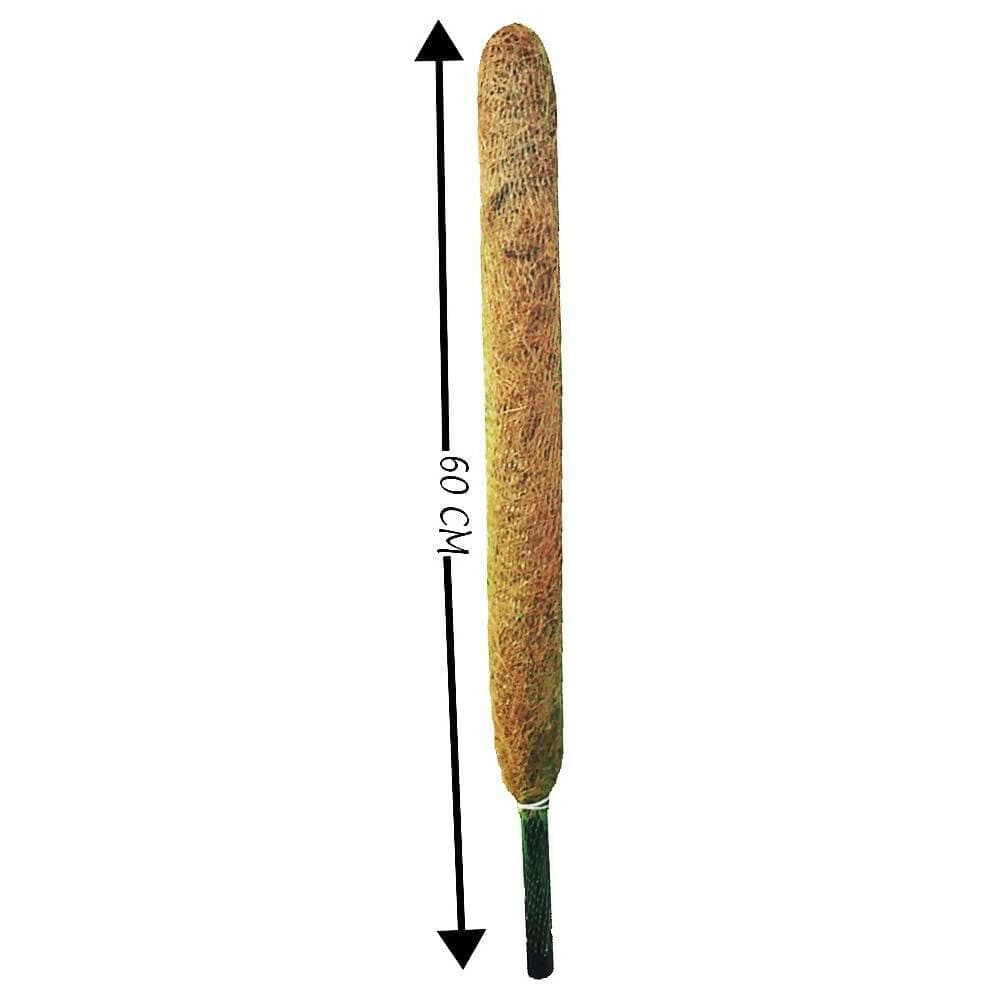 Mats Avenue Coco Pole Coir Stick Moss Stick for Indoor and Out Door Garden (Brown, 2 ft) (Pack of 3) - HalfPe