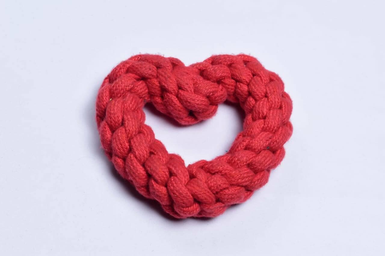 Petology Braided Red Heart Shaped Rope Toy, Interactive Chew Toys, Puppy Teething , Aggressive Small Dogs, Durable & Safe, Washable Cotton (14cm) - HalfPe