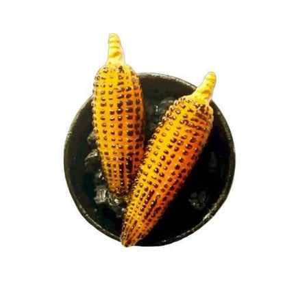 Corn Miniature Food Fridge Magnet - HalfPe