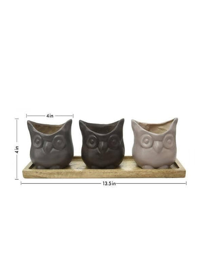 Set Of Three Resin Owl Pots With Wooden Base - HalfPe