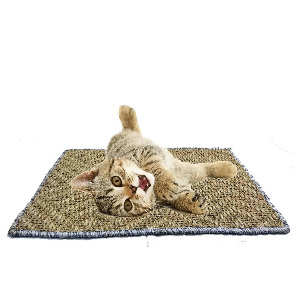 Mats Avenue Door Mats At Your Door Step Cat Scratch Pad (40 X 60 CM) - HalfPe