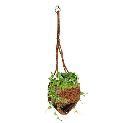 Mats Avenue Coconut Husk and Coir Based Hand Crafted Indoor and Balcony Hanging Pot For Plants (60 X 17 CM) - HalfPe