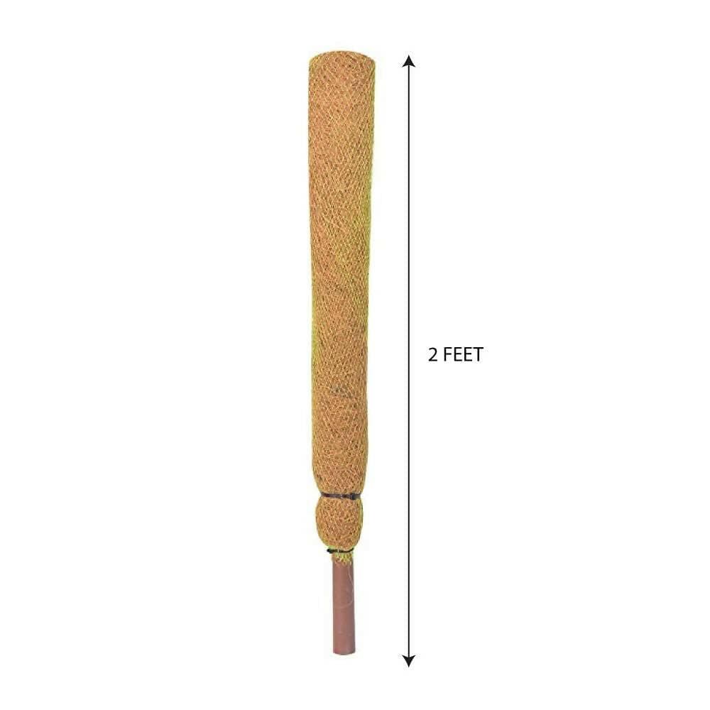 Mats Avenue Long (2 Feet) Coir Moss Stick/Coco Pole Enriched with Natural Cow (60 CM) (Set of 4) - HalfPe