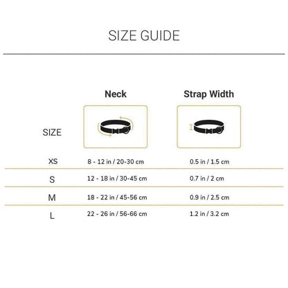 Squif Adjustable Nylon Dog Neck Collar with Safety Buckle, Metal D-Ring to Attach Leash| Dog Neck Belt (Black) | Size - M (Pack of 3) - HalfPe