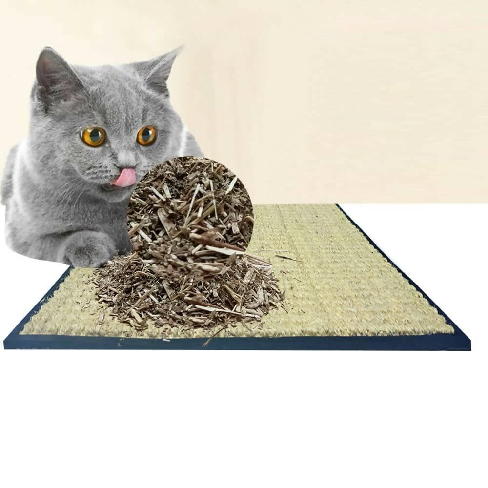 Mats Avenue Cat Scratch Mat Claw Pad and Sleeping Mat Hand Made, Natural Coir and Rubber Scratcher White Color, (45x45 cm with 10 Grams) - HalfPe