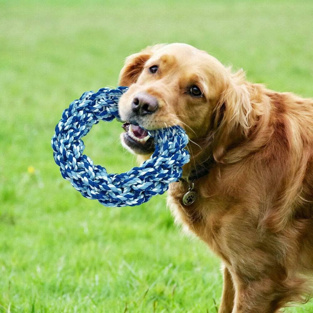 Petology Braided Cotton Ring Dog Chew Toy for Small and Medium Breeds (Red,Blue) - HalfPe