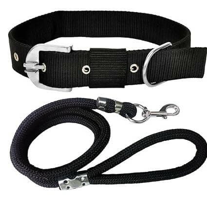 Mukundhas 3/4 inch Dog Collar & Leash Black - HalfPe