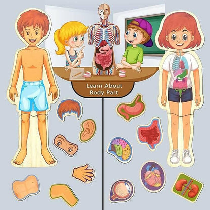 ZUDO Wooden Montessori Educational Pre-School Puzzle Board Toy for Boys and Girls (Wooden Body Parts) - HalfPe