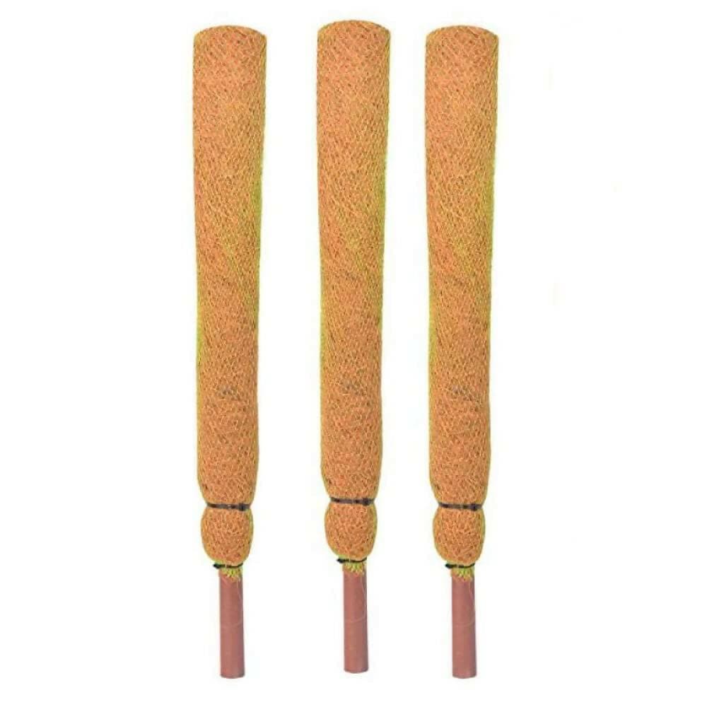 Mats Avenue Coco Pole Coir Stick Moss Stick for Indoor and Out Door Garden (Brown, 2 ft) (Pack of 3) - HalfPe