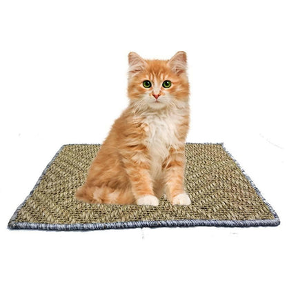 Mats Avenue Door Mats At Your Door Step Cat Scratch Pad (40 X 60 CM) - HalfPe