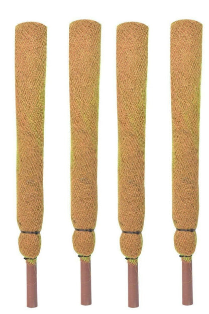 Mats Avenue Long (2 Feet) Coir Moss Stick/Coco Pole Enriched with Natural Cow (60 CM) (Set of 4) - HalfPe