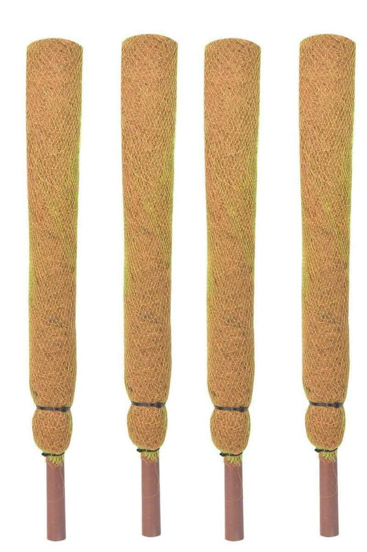 Mats Avenue Long (2 Feet) Coir Moss Stick/Coco Pole Enriched with Natural Cow (60 CM) (Set of 4) - HalfPe