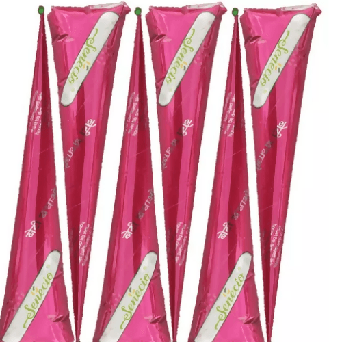 SENECIO 6 Pack Bridal Dulhan Mehendi Heena Henna Cone Ready to Use For Girls & Women - HalfPe