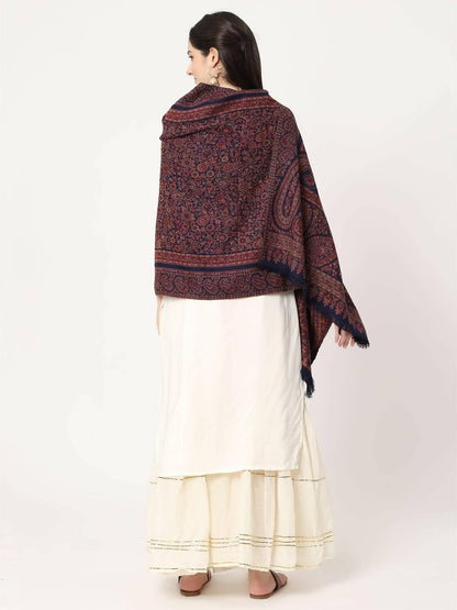 Navy Blue and Brown Paisley Wool Stole for women - HalfPe